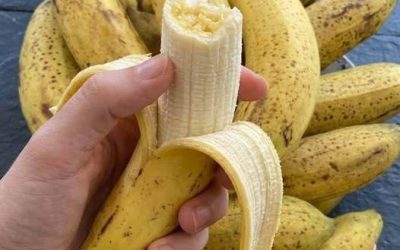 Esto es lo que sucede cuando comes un plátano al día. ¡Chicas, tomen nota!