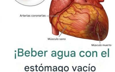 ¿Sabías que beber agua con el estómago vacío podría ser…