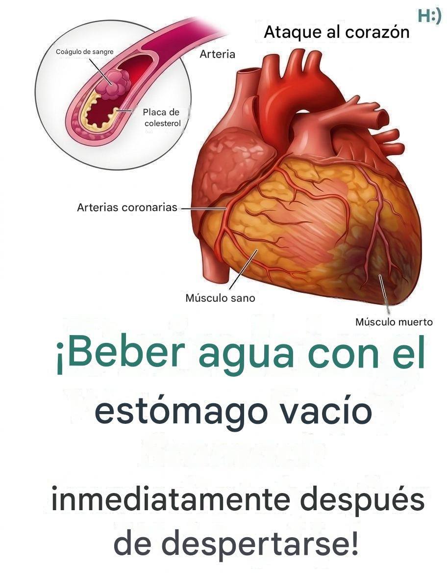 ¿Sabías que beber agua con el estómago vacío podría ser…