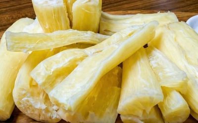 El alimento más letal del mundo.