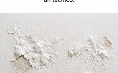 Repara rápidamente paredes con moho, ampollas y pintura descascarada con estos sencillos consejos.