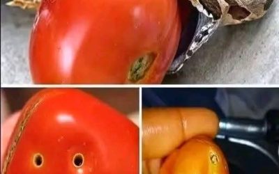 Qué significa ver estos agujeros en los tomates