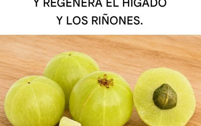 La fruta con mayor contenido de antioxidantes: regenera el hígado y tiene 20 veces más vitamina C que el zumo de naranja.