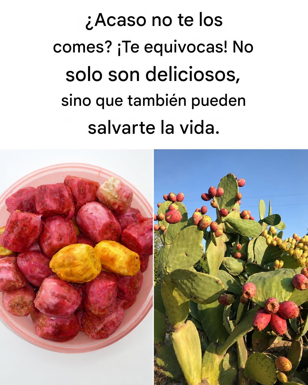 Las maravillosas propiedades terapéuticas de las tunas