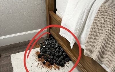 Un extraño montón negro junto a la cama: ¿qué podría ser?