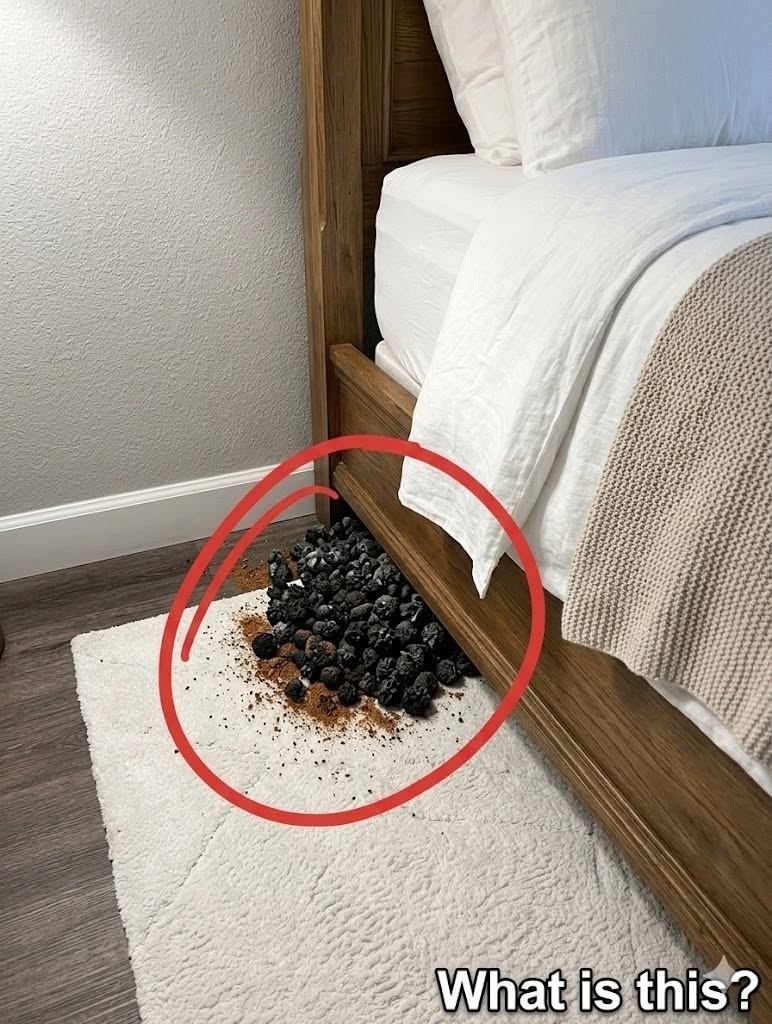 Un extraño montón negro junto a la cama: ¿qué podría ser?