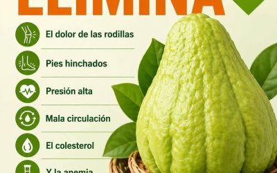 Jugo de chayote