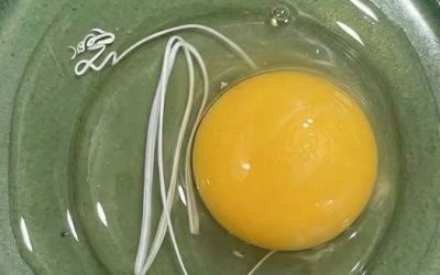 Esta mañana me desperté y decidí preparar huevos fritos.