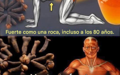 Gengibre, cravo e mel: el trío milagroso que transforma a su salud.