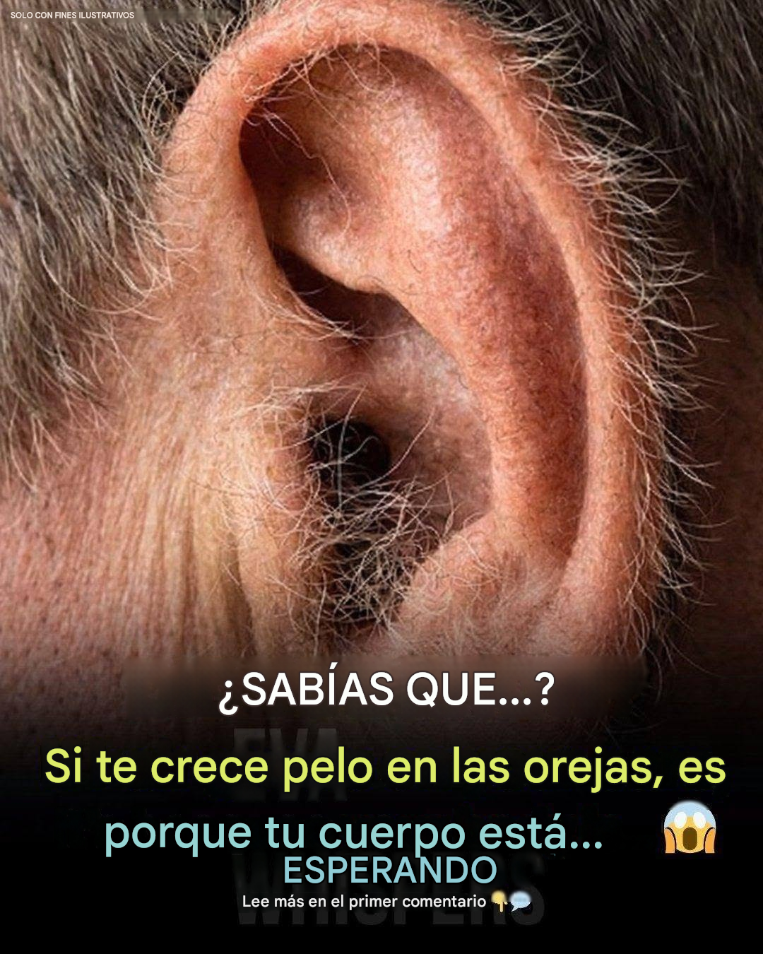 Lo que el vello de tus orejas dice sobre tu salud