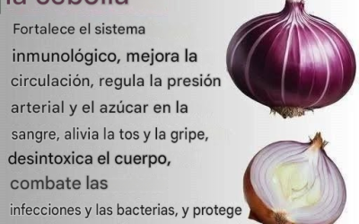 Los increíbles beneficios de las cebollas: mucho más que un simple ingrediente de cocina…