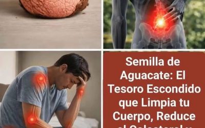 Te de hueso de aguacate, Beneficios para tu salud!