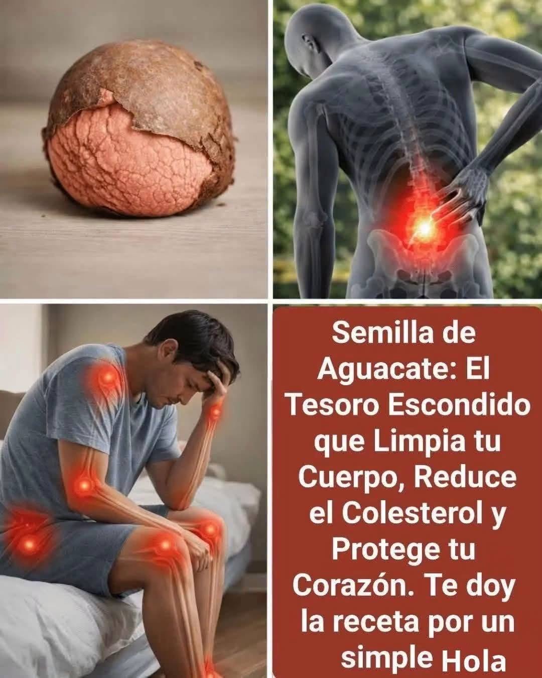 Te de hueso de aguacate, Beneficios para tu salud!