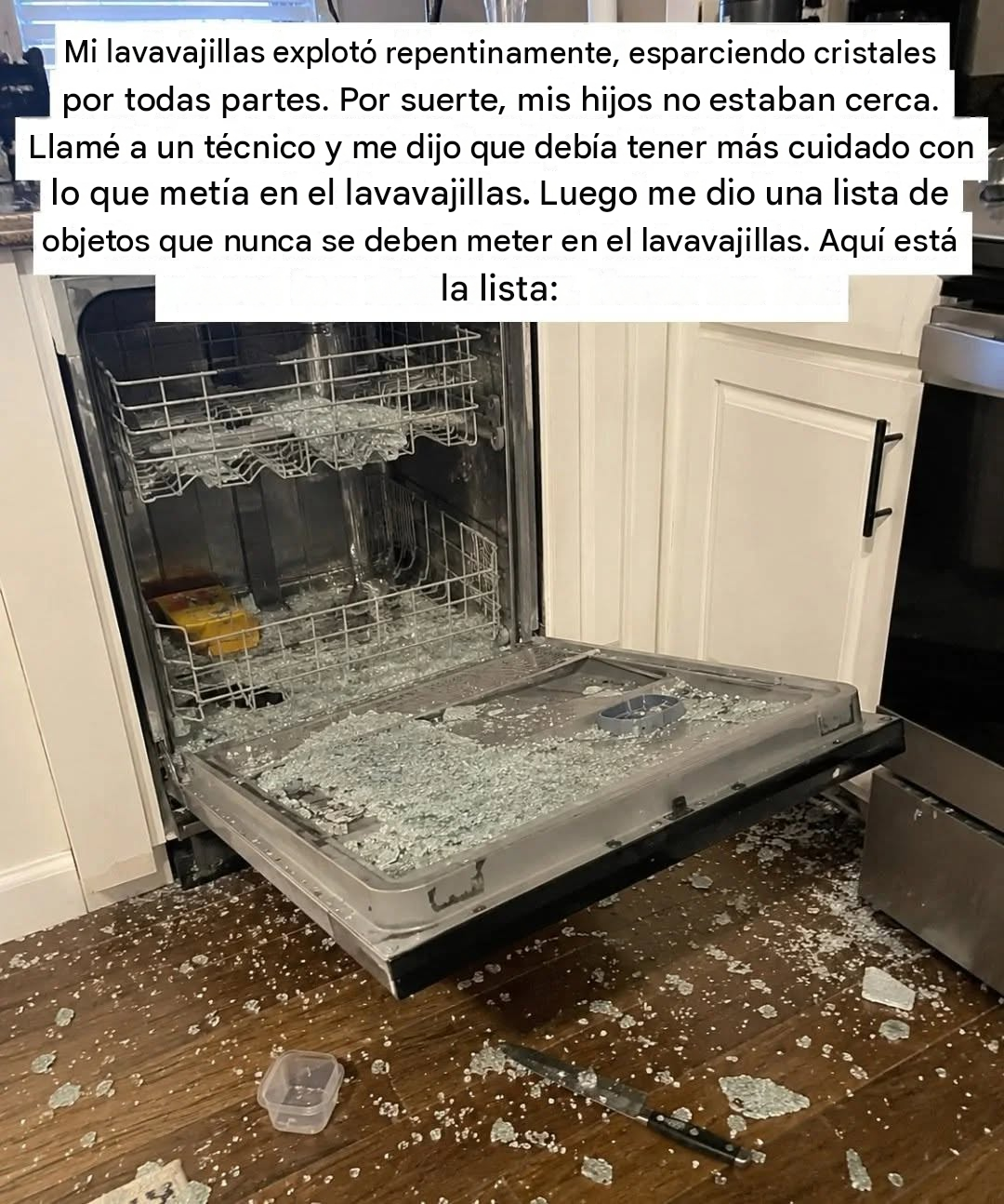 8 cosas que definitivamente no debes meter en el lavavajillas (y el delicado arte de cuidar tus tesoros de cocina)